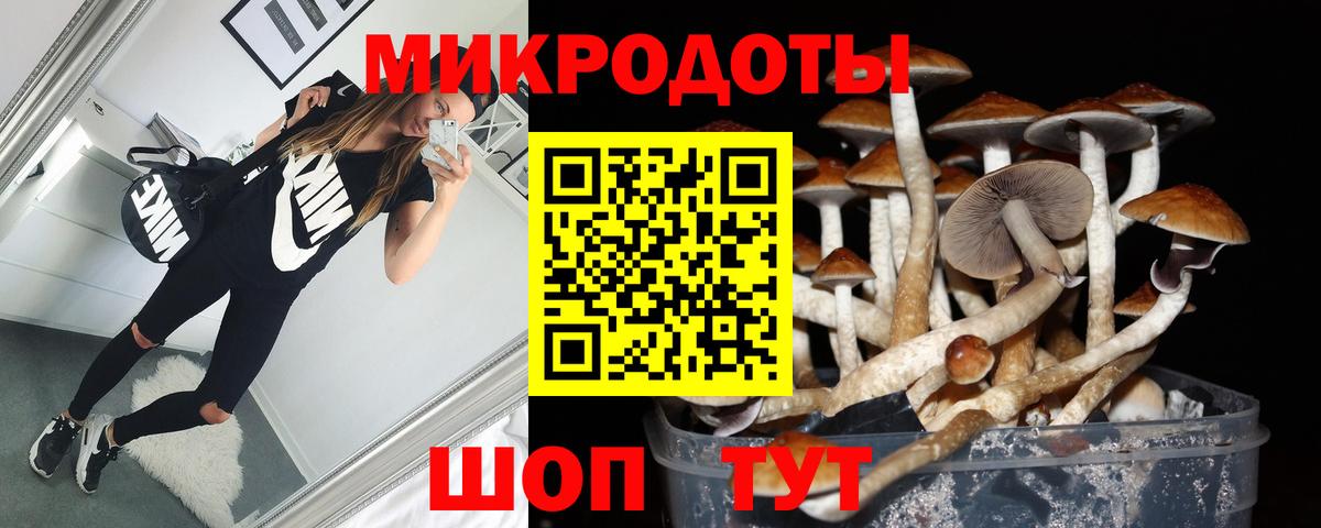 Галлюциногенные грибы GOLDEN TEACHER Грязи